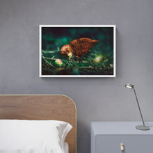 Load image into Gallery viewer, Mushroom &quot;Lucian&quot;- Fine Art Wall Art