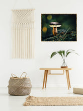 Load image into Gallery viewer, Example with your own frame