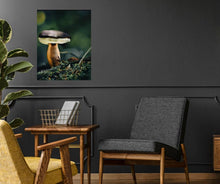 Load image into Gallery viewer, Example picture with interior