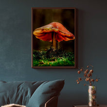 Load image into Gallery viewer, Mushroom &quot;Juliette&quot;- Fine Art Wall Art
