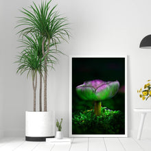 Load image into Gallery viewer, Mushroom &quot;Symphonie&quot;- Fine Art Wall Art