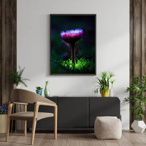 Mushroom "Violet"- Fine Art Wall Art