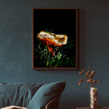 Load image into Gallery viewer, Mushroom &quot;Arabella&quot;- Fine Art Wall Art