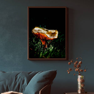 Mushroom "Arabella"- Fine Art Wall Art