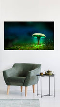 Load image into Gallery viewer, Mushroom &quot;Miles Psychadelic&quot;- Fine Art Wall Art