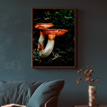 Load image into Gallery viewer, Mushroom &quot;Mabels&quot;- Fine Art Wall Art