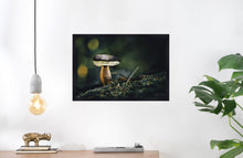 Load image into Gallery viewer, Mushroom &quot;Marius&quot;- Fine Art Wall Art