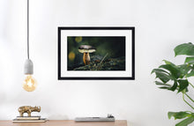 Load image into Gallery viewer, Mushroom &quot;Marius&quot;- Fine Art Wall Art