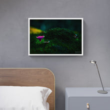 Load image into Gallery viewer, Mushroom &quot;Stoney&quot; - Fine Art Wall Art