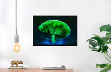 Load image into Gallery viewer, Mushroom &quot;Oliver&quot;- Fine Art Wall Art