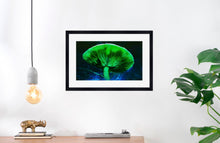 Load image into Gallery viewer, Mushroom &quot;Oliver&quot;- Fine Art Wall Art
