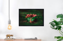 Load image into Gallery viewer, Mushroom &quot;Cassius&quot;- Fine Art Wall Art