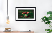 Load image into Gallery viewer, Mushroom &quot;August&quot;- Fine Art Wall Art