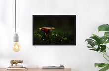 Load image into Gallery viewer, Mushroom &quot;Silas&quot;- Fine Art Wall Art