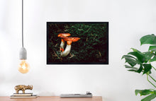 Load image into Gallery viewer, Mushroom &quot;Mabels&quot;- Fine Art Wall Art