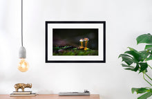 Load image into Gallery viewer, Mushroom &quot;Couple&quot;- Fine Art Wall Art