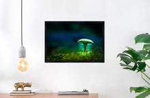 Load image into Gallery viewer, Mushroom &quot;Miles Psychadelic&quot;- Fine Art Wall Art