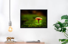 Load image into Gallery viewer, Mushroom &quot;Miles&quot;- Fine Art Wall Art