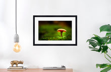 Load image into Gallery viewer, Mushroom &quot;Miles&quot;- Fine Art Wall Art