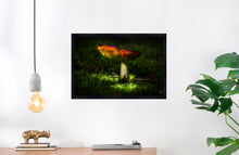 Load image into Gallery viewer, Mushroom &quot;Loreant&quot;- Fine Art Wall Art
